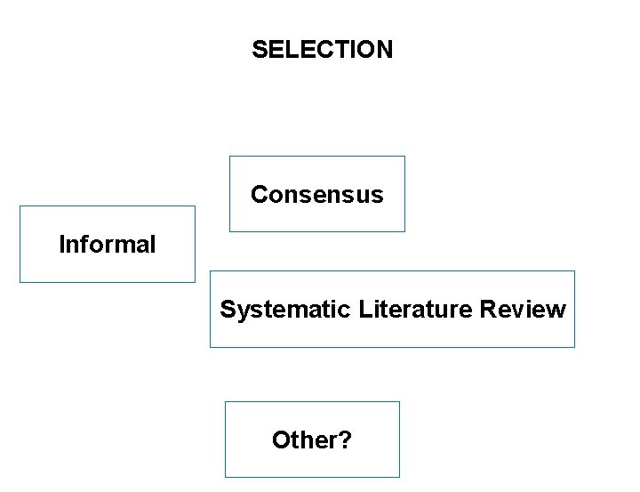 SELECTION Consensus Informal Systematic Literature Review Other? SEITE 6 