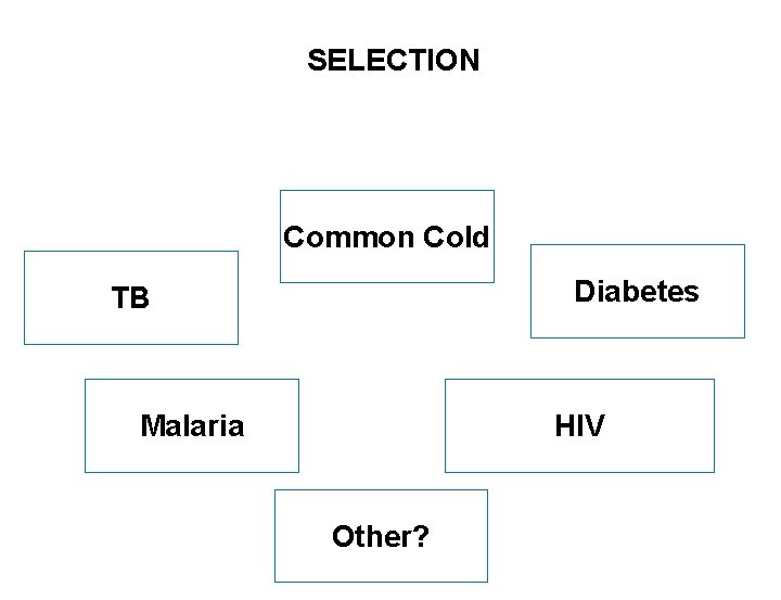 SELECTION Common Cold Diabetes TB Malaria HIV Other? SEITE 7 