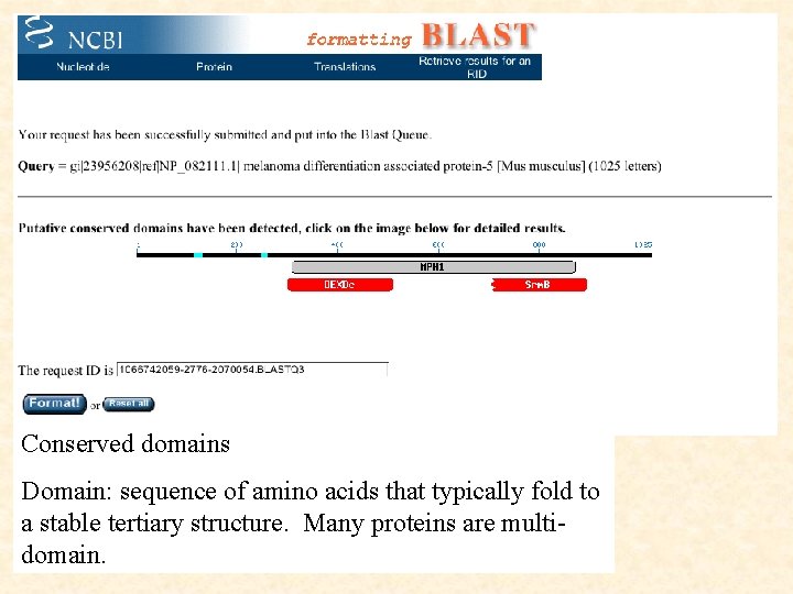 Conserved domains Domain: sequence of amino acids that typically fold to a stable tertiary