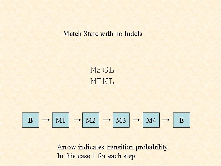 Match State with no Indels MSGL MTNL B M 1 M 2 M 3
