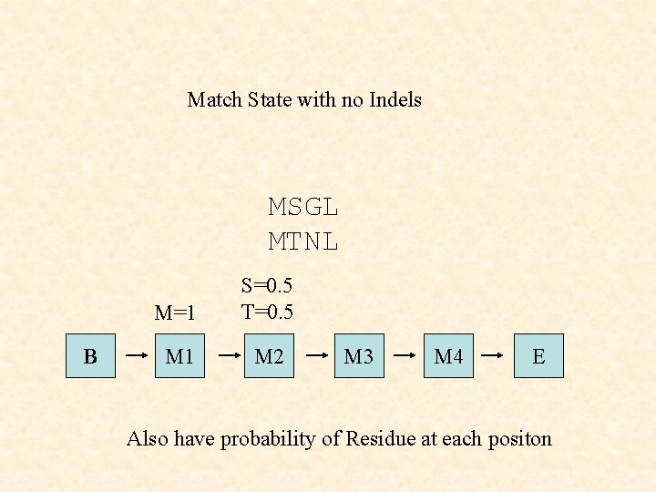 Match State with no Indels MSGL MTNL B M=1 S=0. 5 T=0. 5 M