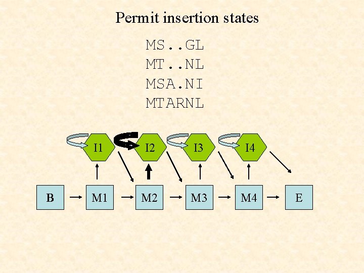 Permit insertion states MS. . GL MT. . NL MSA. NI MTARNL B I