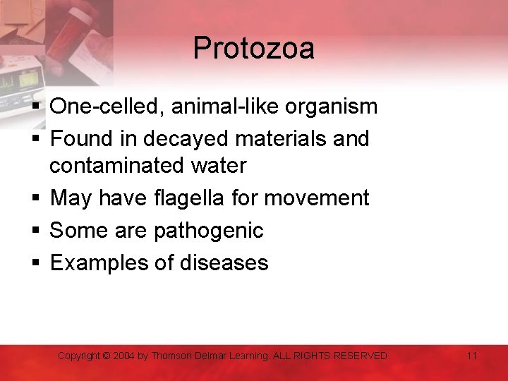 Protozoa § One-celled, animal-like organism § Found in decayed materials and contaminated water §