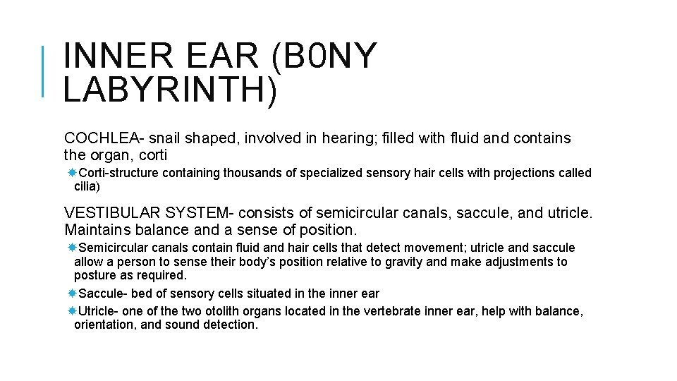 INNER EAR (B 0 NY LABYRINTH) COCHLEA- snail shaped, involved in hearing; filled with