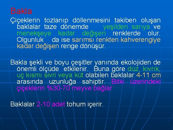 Bakla Çiçeklerin tozlanıp döllenmesini takiben oluşan baklalar taze dönemde yeşilden sarıya ve menekşeye kadar