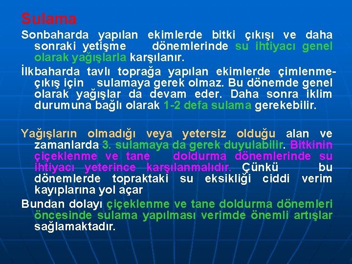 Sulama Sonbaharda yapılan ekimlerde bitki çıkışı ve daha sonraki yetişme dönemlerinde su ihtiyacı genel