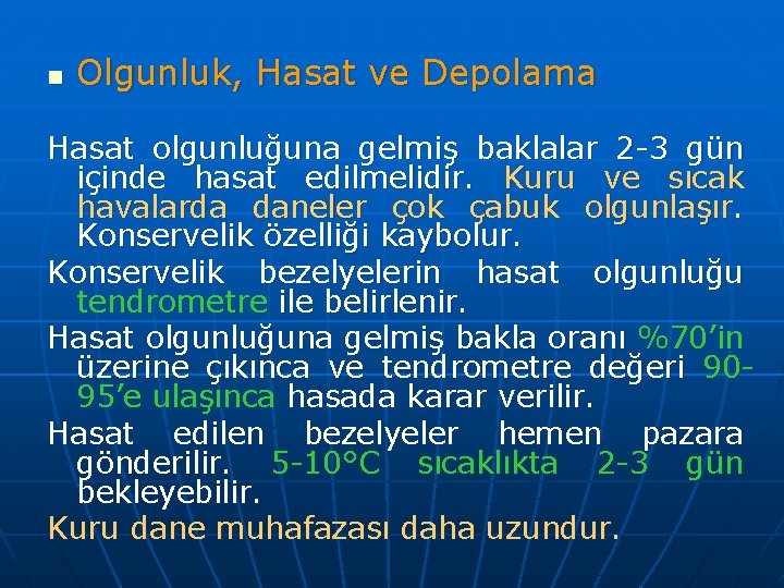 n Olgunluk, Hasat ve Depolama Hasat olgunluğuna gelmiş baklalar 2 -3 gün içinde hasat