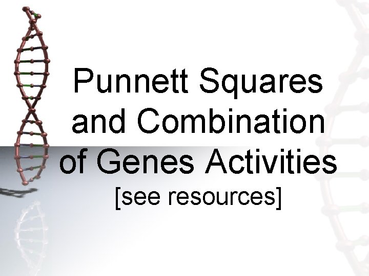 Punnett Squares and Combination of Genes Activities [see resources] 