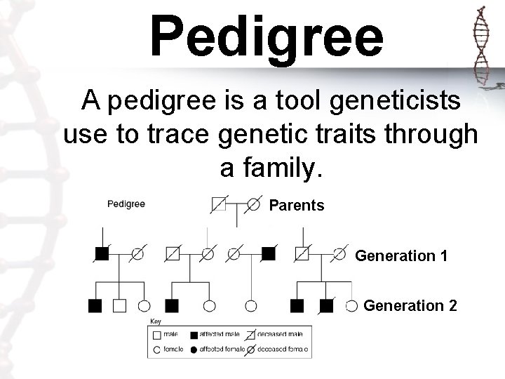 Pedigree A pedigree is a tool geneticists use to trace genetic traits through a