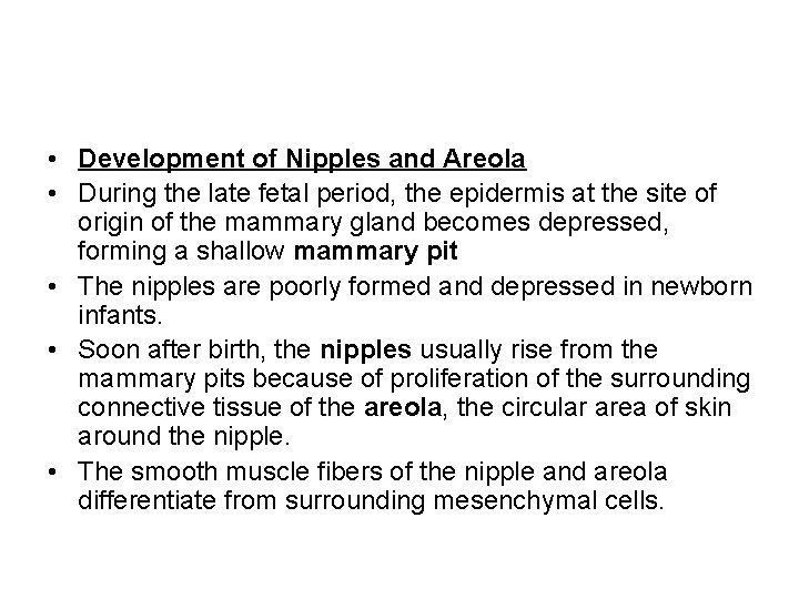  • Development of Nipples and Areola • During the late fetal period, the
