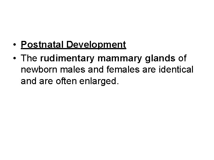  • Postnatal Development • The rudimentary mammary glands of newborn males and females