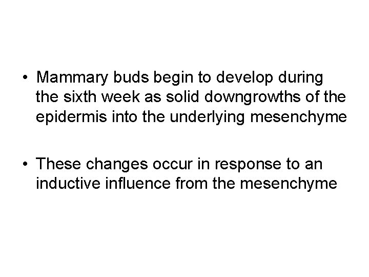  • Mammary buds begin to develop during the sixth week as solid downgrowths