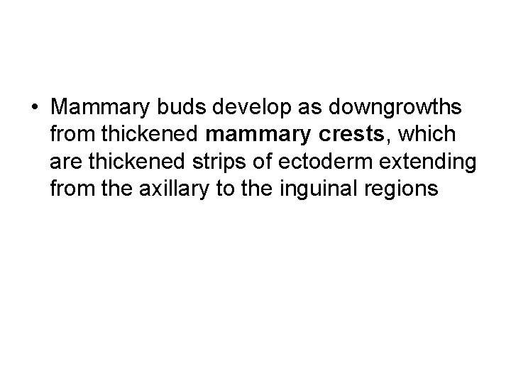  • Mammary buds develop as downgrowths from thickened mammary crests, which are thickened