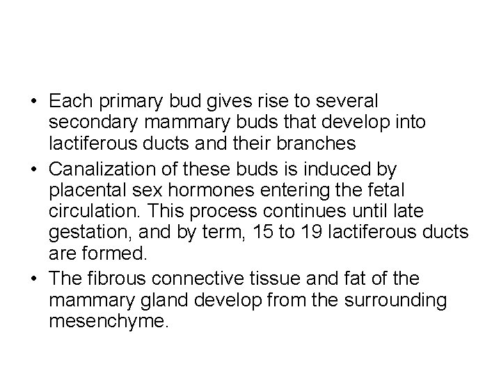  • Each primary bud gives rise to several secondary mammary buds that develop