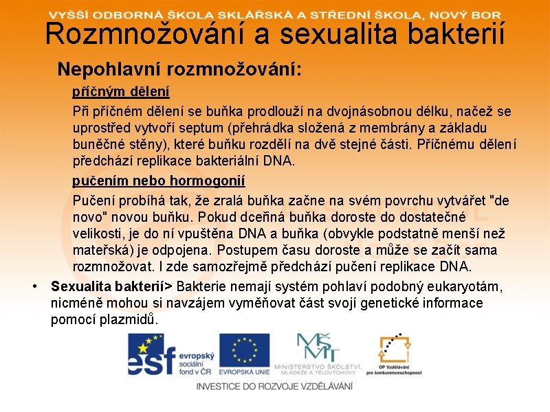 Rozmnožování a sexualita bakterií Nepohlavní rozmnožování: příčným dělení Při příčném dělení se buňka prodlouží