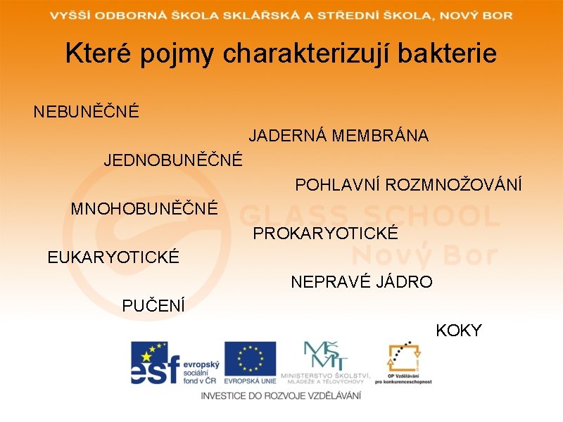 Které pojmy charakterizují bakterie NEBUNĚČNÉ JADERNÁ MEMBRÁNA JEDNOBUNĚČNÉ POHLAVNÍ ROZMNOŽOVÁNÍ MNOHOBUNĚČNÉ PROKARYOTICKÉ EUKARYOTICKÉ NEPRAVÉ