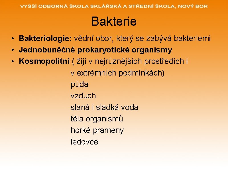 Bakterie • Bakteriologie: vědní obor, který se zabývá bakteriemi • Jednobuněčné prokaryotické organismy •