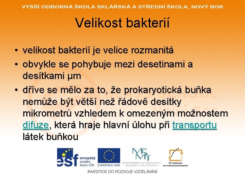 Velikost bakterií • velikost bakterií je velice rozmanitá • obvykle se pohybuje mezi desetinami