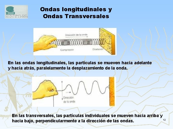 Ondas longitudinales y Ondas Transversales En las ondas longitudinales, las partículas se mueven hacia