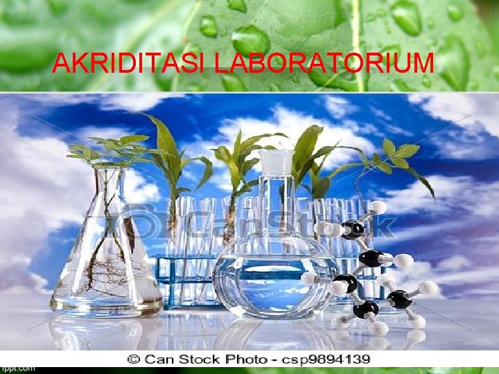 AKRIDITASI LABORATORIUM 