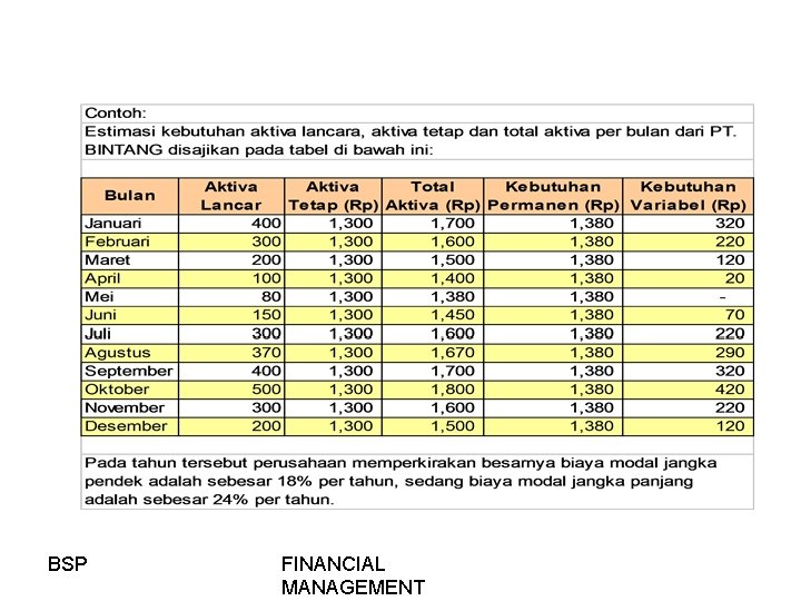 BSP FINANCIAL MANAGEMENT 
