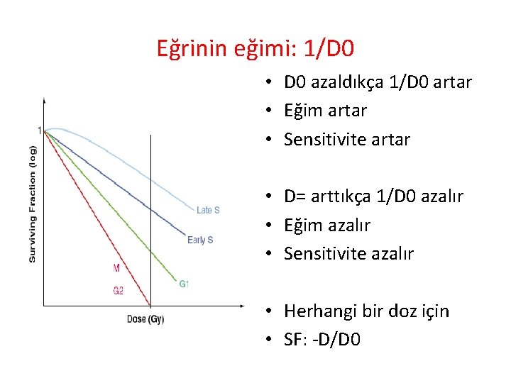 Eğrinin eğimi: 1/D 0 • D 0 azaldıkça 1/D 0 artar • Eğim artar