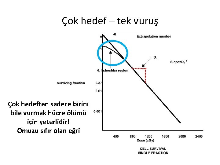 Çok hedef – tek vuruş Çok hedeften sadece birini bile vurmak hücre ölümü için