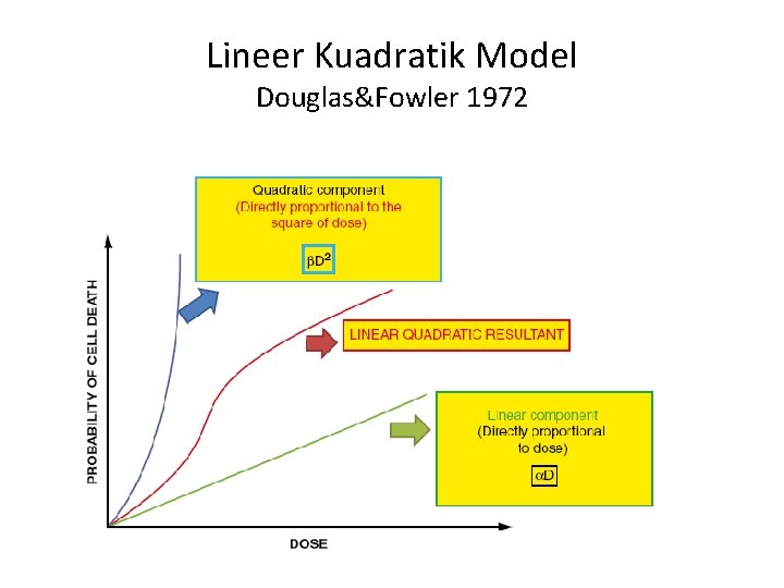 Lineer Kuadratik Model Douglas&Fowler 1972 