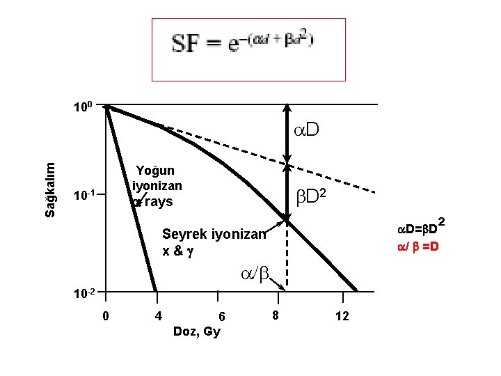 100 Sağkalım a. D Yoğun iyonizan 10 -1 b. D 2 rays ² D=