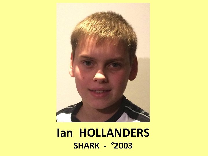 Ian HOLLANDERS SHARK - ° 2003 