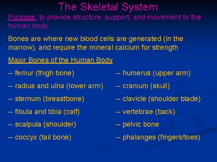 The Skeletal System Purpose: to provide structure, support, and movement to the human body