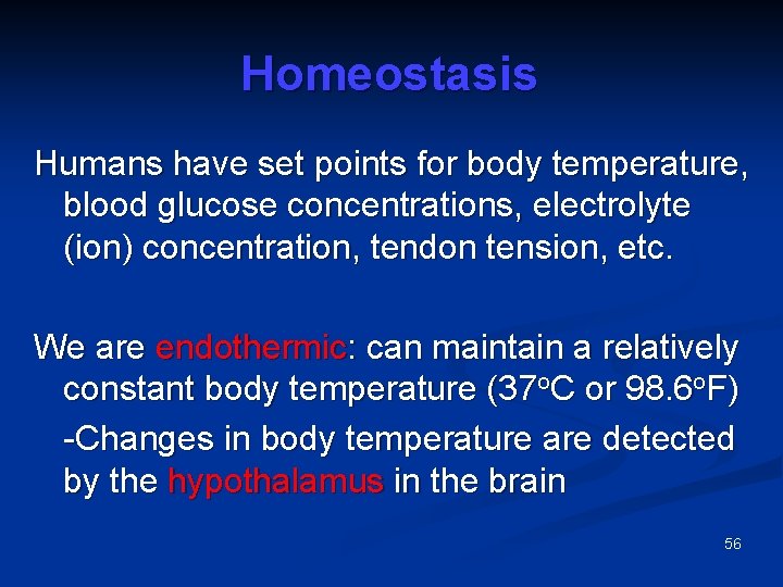 Homeostasis Humans have set points for body temperature, blood glucose concentrations, electrolyte (ion) concentration,