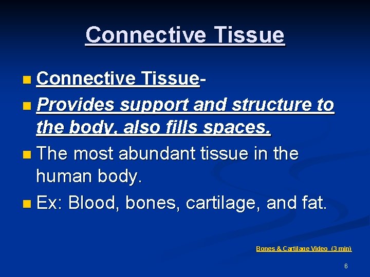 Connective Tissue n Connective Tissuen Provides support and structure to the body, also fills