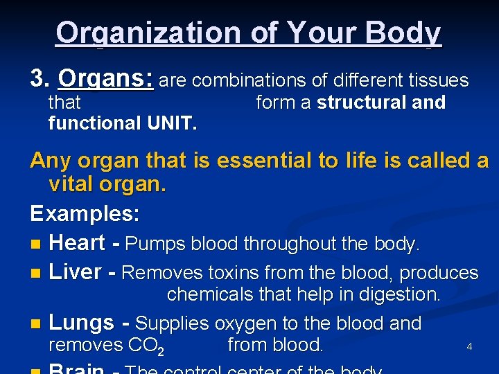 Organization of Your Body 3. Organs: are combinations of different tissues that functional UNIT.