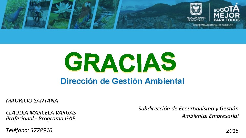 Dirección de Gestión Ambiental MAURICIO SANTANA CLAUDIA MARCELA VARGAS Profesional - Programa GAE Teléfono: