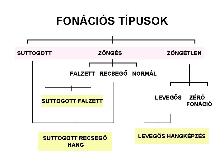 FONÁCIÓS TÍPUSOK SUTTOGOTT ZÖNGÉS ZÖNGÉTLEN FALZETT RECSEGŐ NORMÁL SUTTOGOTT FALZETT SUTTOGOTT RECSEGŐ HANG LEVEGŐS