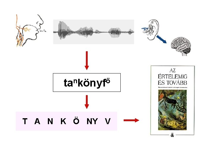 tankönyfö T A N K Ö NY V 