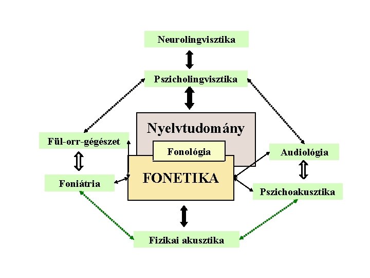 Neurolingvisztika Pszicholingvisztika Fül-orr-gégészet Foniátria Nyelvtudomány Fonológia Audiológia FONETIKA Pszichoakusztika Fizikai akusztika 