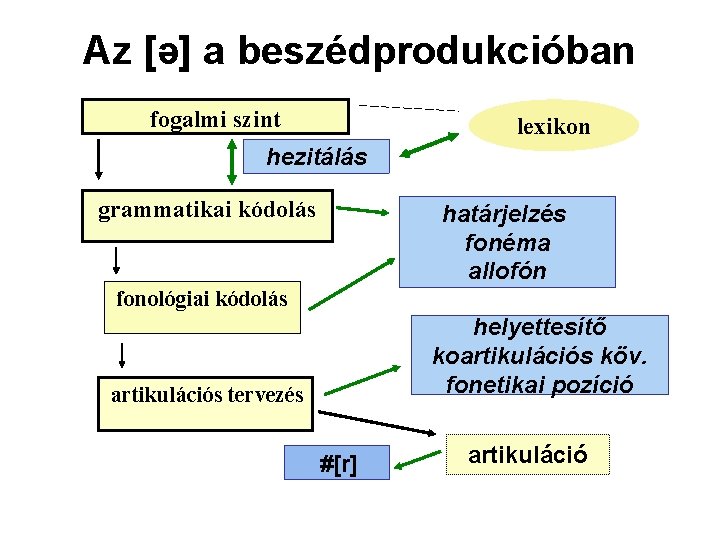 Az [ə] a beszédprodukcióban fogalmi szint lexikon hezitálás grammatikai kódolás határjelzés fonéma allofón fonológiai