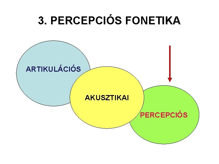 3. PERCEPCIÓS FONETIKA ARTIKULÁCIÓS AKUSZTIKAI PERCEPCIÓS 