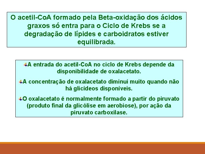 O acetil-Co. A formado pela Beta-oxidação dos ácidos graxos só entra para o Ciclo