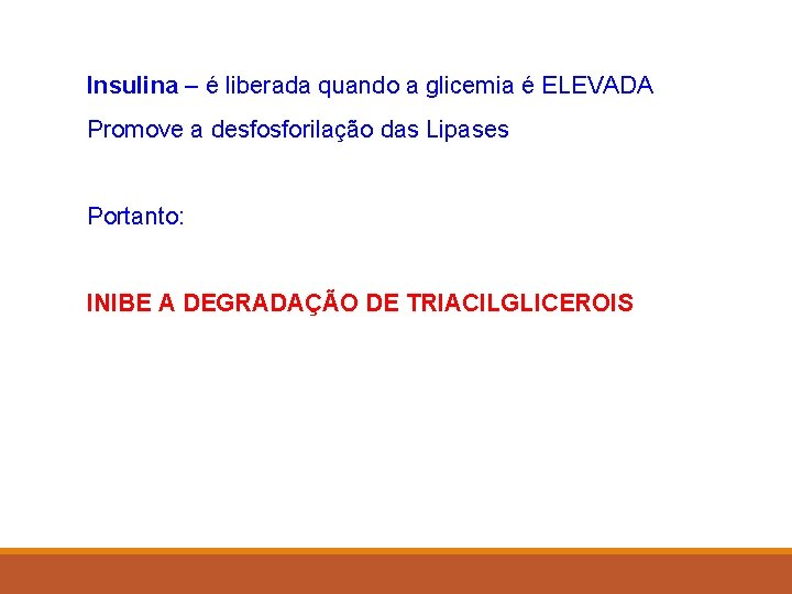Insulina – é liberada quando a glicemia é ELEVADA Promove a desfosforilação das Lipases