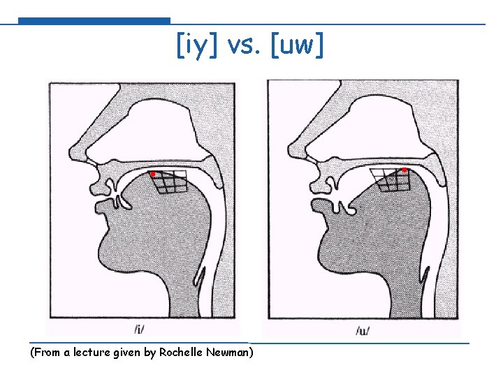 [iy] vs. [uw] (From a lecture given by Rochelle Newman) 