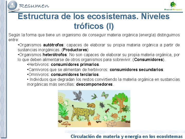 Estructura de los ecosistemas. Niveles tróficos (I) Según la forma que tiene un organismo