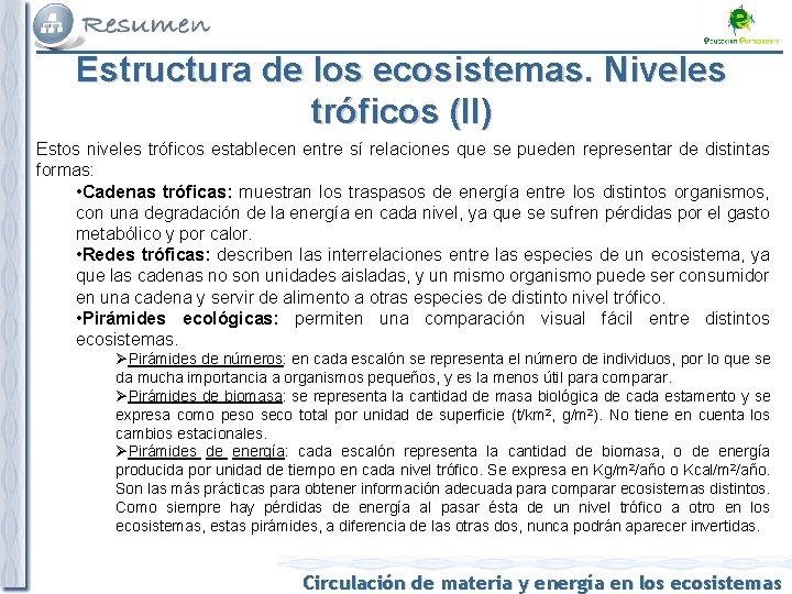 Estructura de los ecosistemas. Niveles tróficos (II) Estos niveles tróficos establecen entre sí relaciones