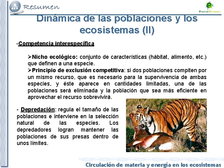 Dinámica de las poblaciones y los ecosistemas (II) -Competencia interespecífica ØNicho ecológico: conjunto de