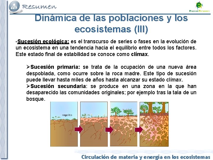 Dinámica de las poblaciones y los ecosistemas (III) -Sucesión ecológica: es el transcurso de