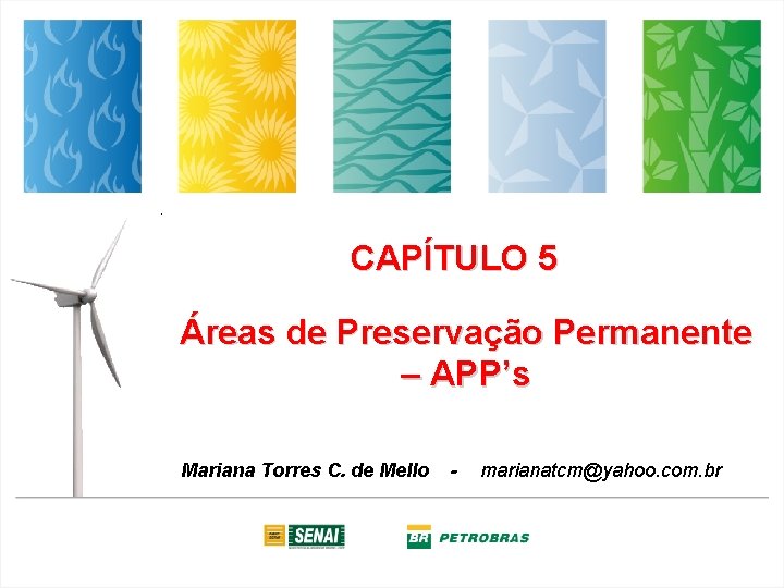 CAPÍTULO 5 Áreas de Preservação Permanente – APP’s Mariana Torres C. de Mello -