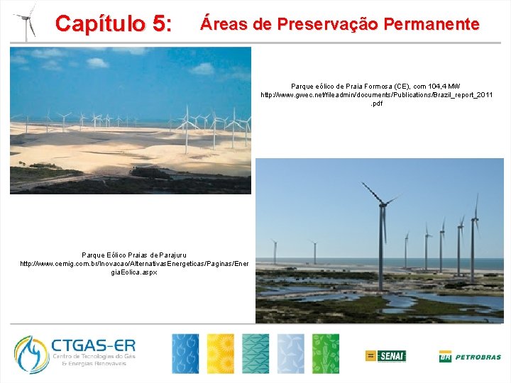 Capítulo 5: Áreas de Preservação Permanente Parque eólico de Praia Formosa (CE), com 104,