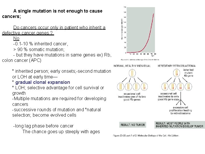 A single mutation is not enough to cause cancers; Do cancers occur only in